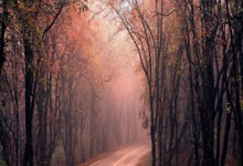 芝加哥高端模特