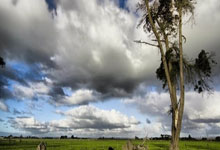 洛杉矶模特预约价格