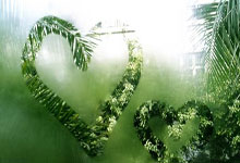 旧金山模特援交