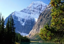 芝加哥援交女模特