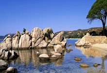 旧金山外围模特经纪人